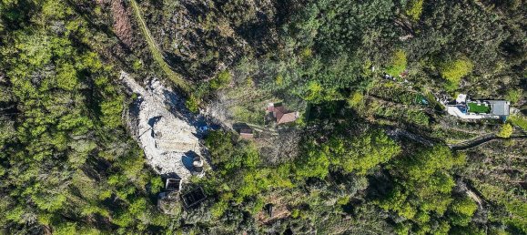 2 Schlafzimmer Haus in Terras de Bouro, Portugal, Nr. 40204 19