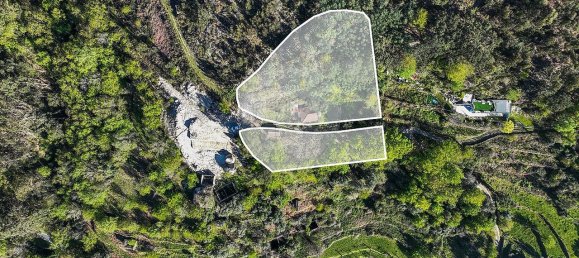 2 Schlafzimmer Haus in Terras de Bouro, Portugal, Nr. 40204 23