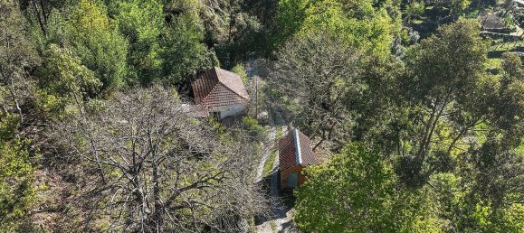 2 Schlafzimmer Haus in Terras de Bouro, Portugal, Nr. 40204 8