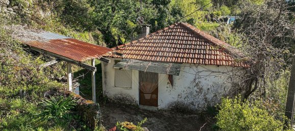 2 Schlafzimmer Haus in Terras de Bouro, Portugal, Nr. 40204 11