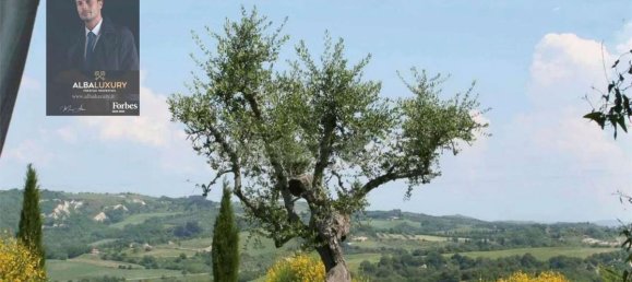 6 bedrooms Villa in Montalcino, Italy No. 529 11