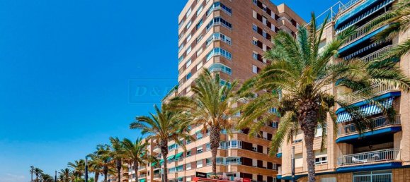 4 bedrooms Apartment in Torrevieja, Spain No. 91012 49