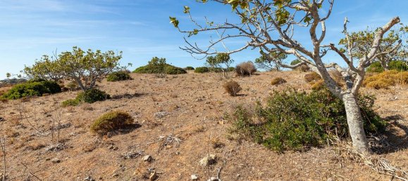 Grundstück in Luz, Portugal, Nr. 78115 16