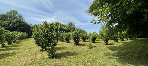 7800m² Land in Chiarano, Italy No. 276953 15