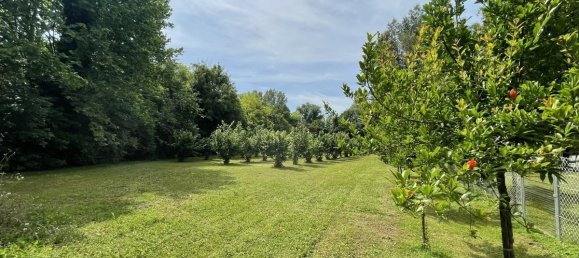 7800m² Land in Chiarano, Italy No. 276953 11