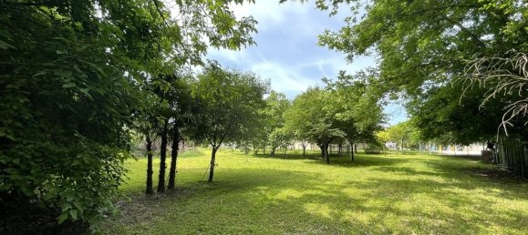 7800m² Land in Chiarano, Italy No. 276953 21