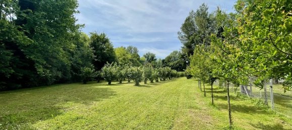 7800m² Land in Chiarano, Italy No. 276953 12