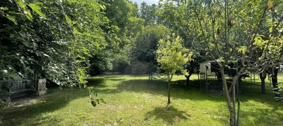 7800m² Land in Chiarano, Italy No. 276953 19