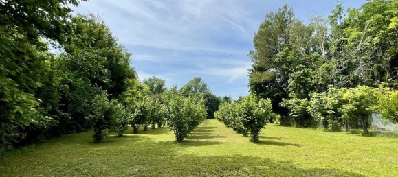 7800m² Land in Chiarano, Italy No. 276953 13