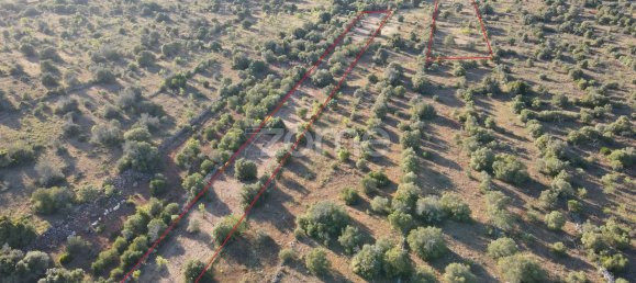 5620m² Land in Sao Bartolomeu de Messines, Portugal No. 44815 16