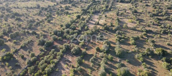 5620m² Land in Sao Bartolomeu de Messines, Portugal No. 44815 10
