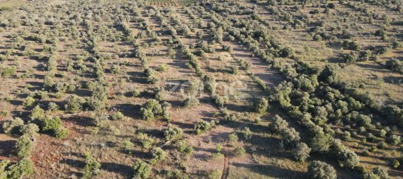 5620m² Land in Sao Bartolomeu de Messines, Portugal No. 44815 19