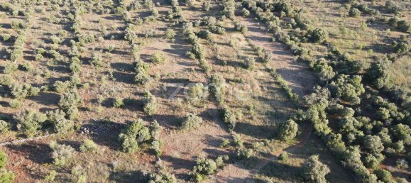 5620m² Land in Sao Bartolomeu de Messines, Portugal No. 44815 20