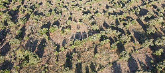 5620m² Land in Sao Bartolomeu de Messines, Portugal No. 44815 4