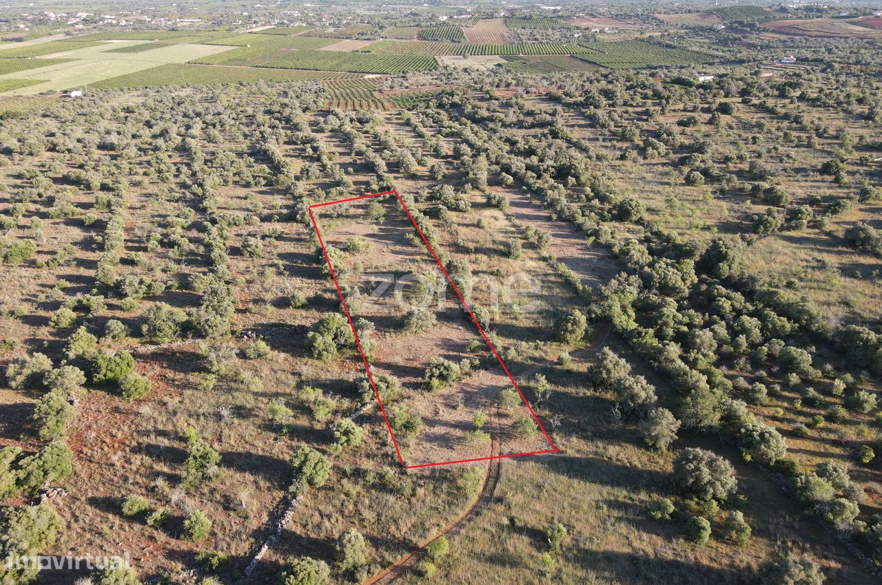 5620m² Land in Sao Bartolomeu de Messines, Portugal No. 44815