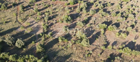 5620m² Land in Sao Bartolomeu de Messines, Portugal No. 44815 3