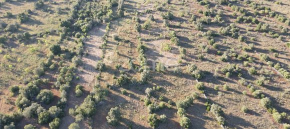 5620m² Land in Sao Bartolomeu de Messines, Portugal No. 44815 11