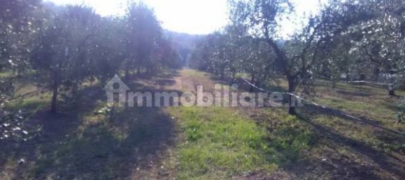 4 bedrooms Villa in Passignano sul Trasimeno, Italy No. 178039 4