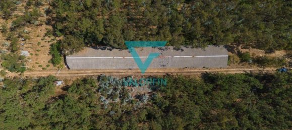 940m² Warehouse in Pombal, Portugal No. 241961 10