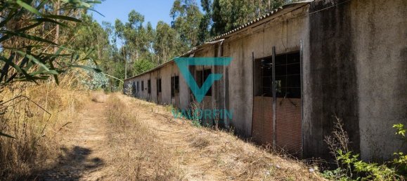 940m² Warehouse in Pombal, Portugal No. 241961 3