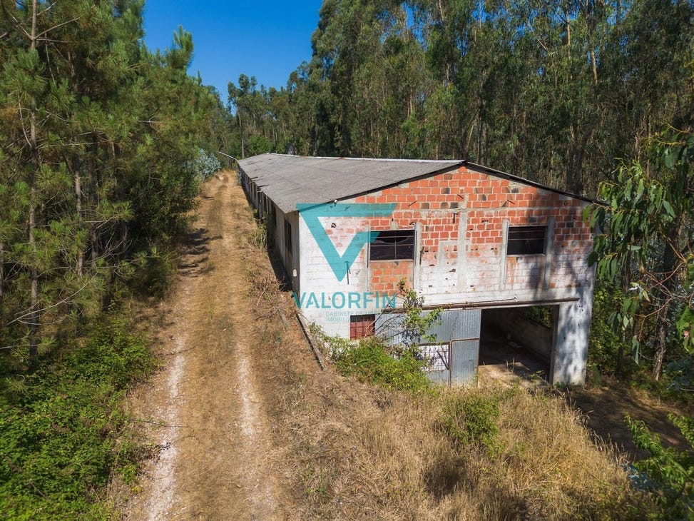  مستودع في Pombal, Portugal 940متر مربع رقم 241961