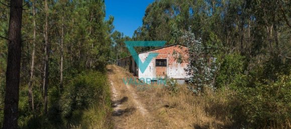 940m² Warehouse in Pombal, Portugal No. 241961 11