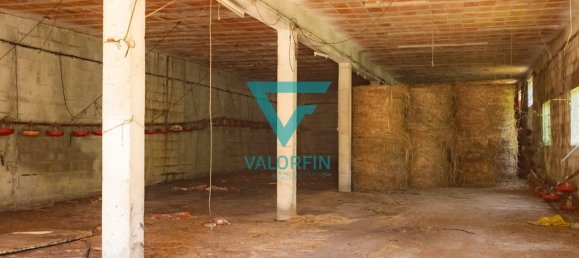 940m² Warehouse in Pombal, Portugal No. 241961 6