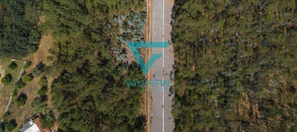 940m² Warehouse in Pombal, Portugal No. 241961 9