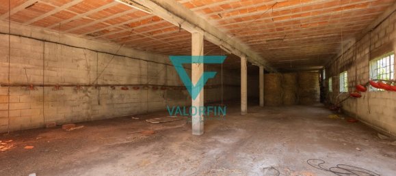 940m² Warehouse in Pombal, Portugal No. 241961 5