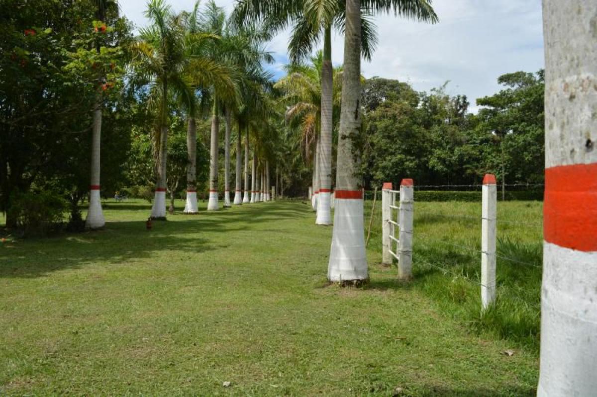 3 Schlafzimmer Haus in Meta, Colombia, Nr. 4923