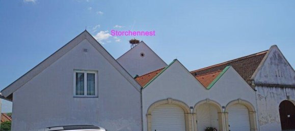 6 rooms House in Morbisch am See, Austria No. 195558 5