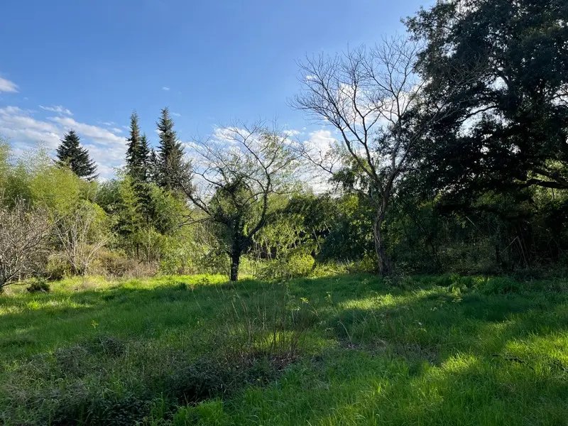 Grundstück in Rion-des-Landes, France 2500m², Nr. 286267