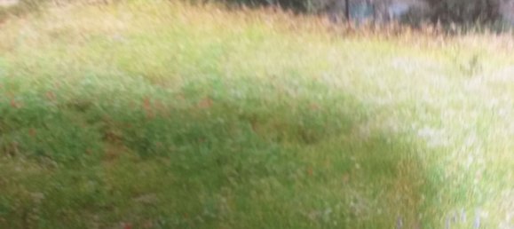 Terreno en Firenzuola, Italy 160000 m² No. 256022 2