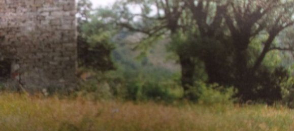 Terreno en Firenzuola, Italy 160000 m² No. 256022 3