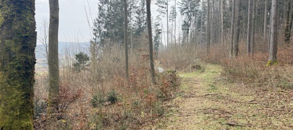 Grundstück in Neustadt an der Waldnaab, Germany, Nr. 168323 6