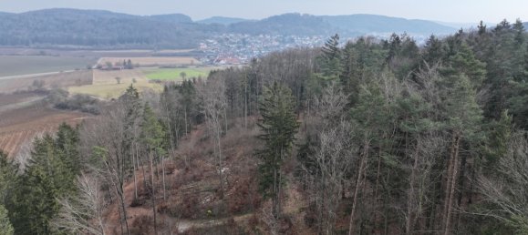 Grundstück in Neustadt an der Waldnaab, Germany, Nr. 168323 2