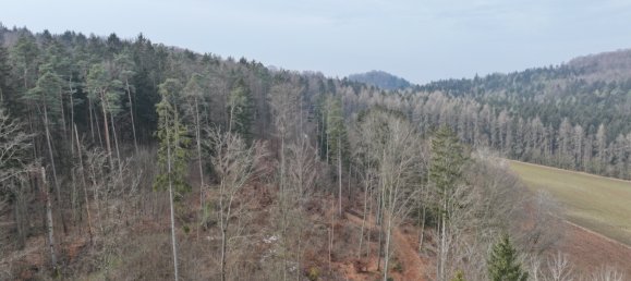 Grundstück in Neustadt an der Waldnaab, Germany, Nr. 168323 3