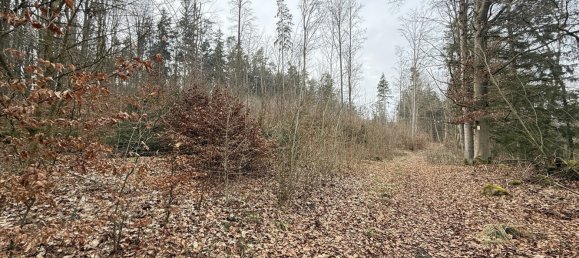 Grundstück in Neustadt an der Waldnaab, Germany, Nr. 168323 5