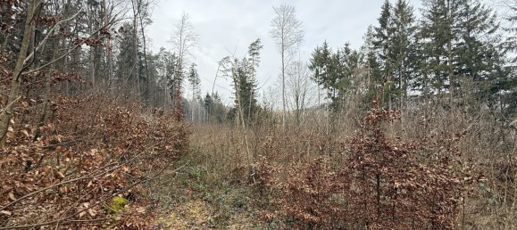 Grundstück in Neustadt an der Waldnaab, Germany, Nr. 168323 4