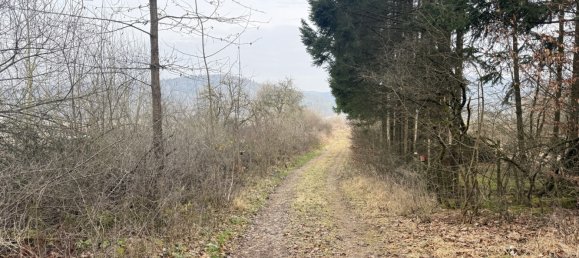 Grundstück in Neustadt an der Waldnaab, Germany, Nr. 168323 7