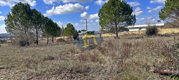 2-salle Villa à Noci, Italy No. 41905 17