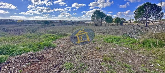 2-salle Villa à Noci, Italy No. 41905 13