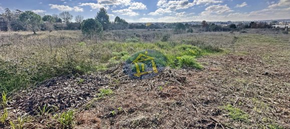 2-salle Villa à Noci, Italy No. 41905 14