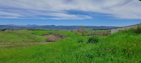 10غرفة منزل في Scansano, Italy رقم 19287 2