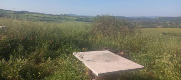 10غرفة منزل في Scansano, Italy رقم 19287 6