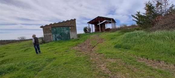 10غرفة منزل في Scansano, Italy رقم 19287 42