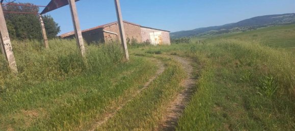 10غرفة منزل في Scansano, Italy رقم 19287 20