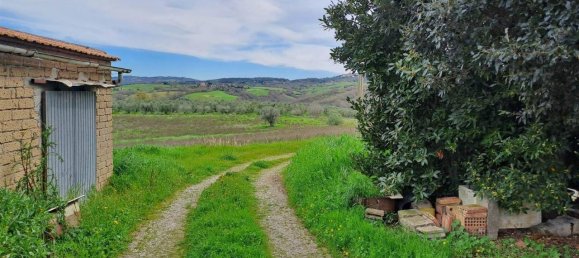 10غرفة منزل في Scansano, Italy رقم 19287 33