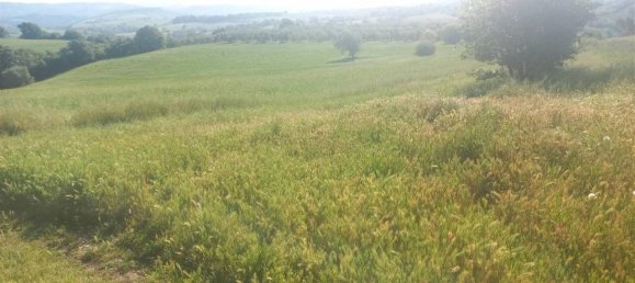 10غرفة منزل في Scansano, Italy رقم 19287 18