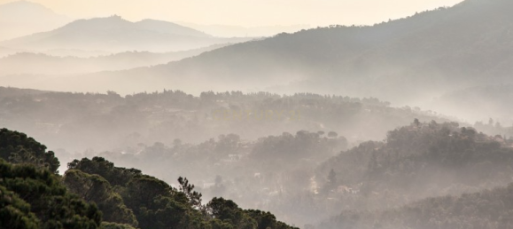 804m² Land in Barcelona, Spain No. 159554 14